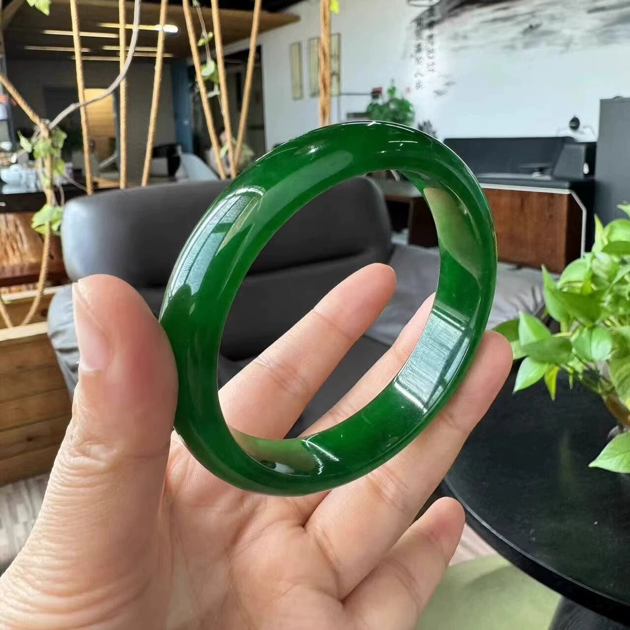 Hand holding natural vivid green jade bangle with indoor plants background
