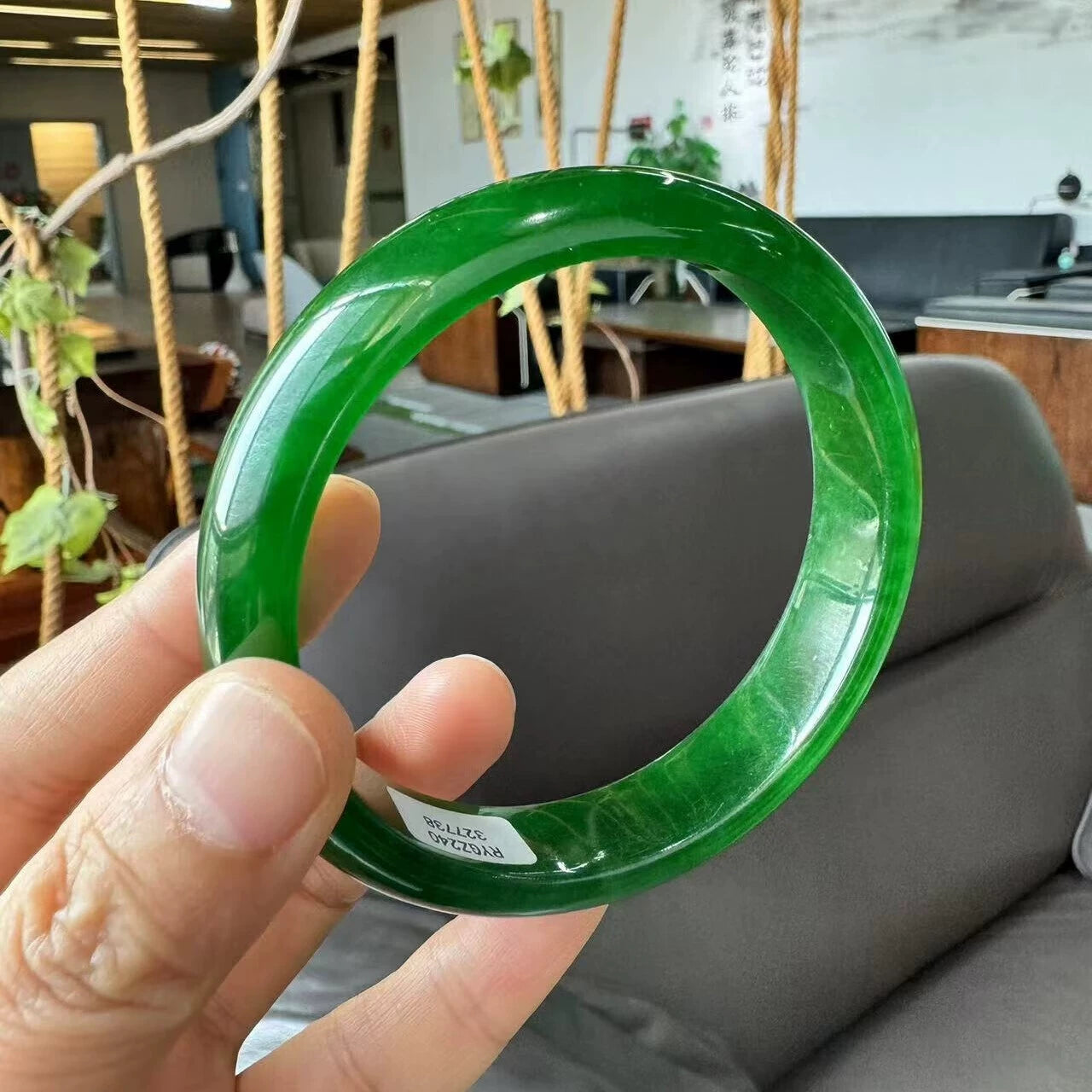 Hand holding natural vivid green jade bangle with indoor plants background 01