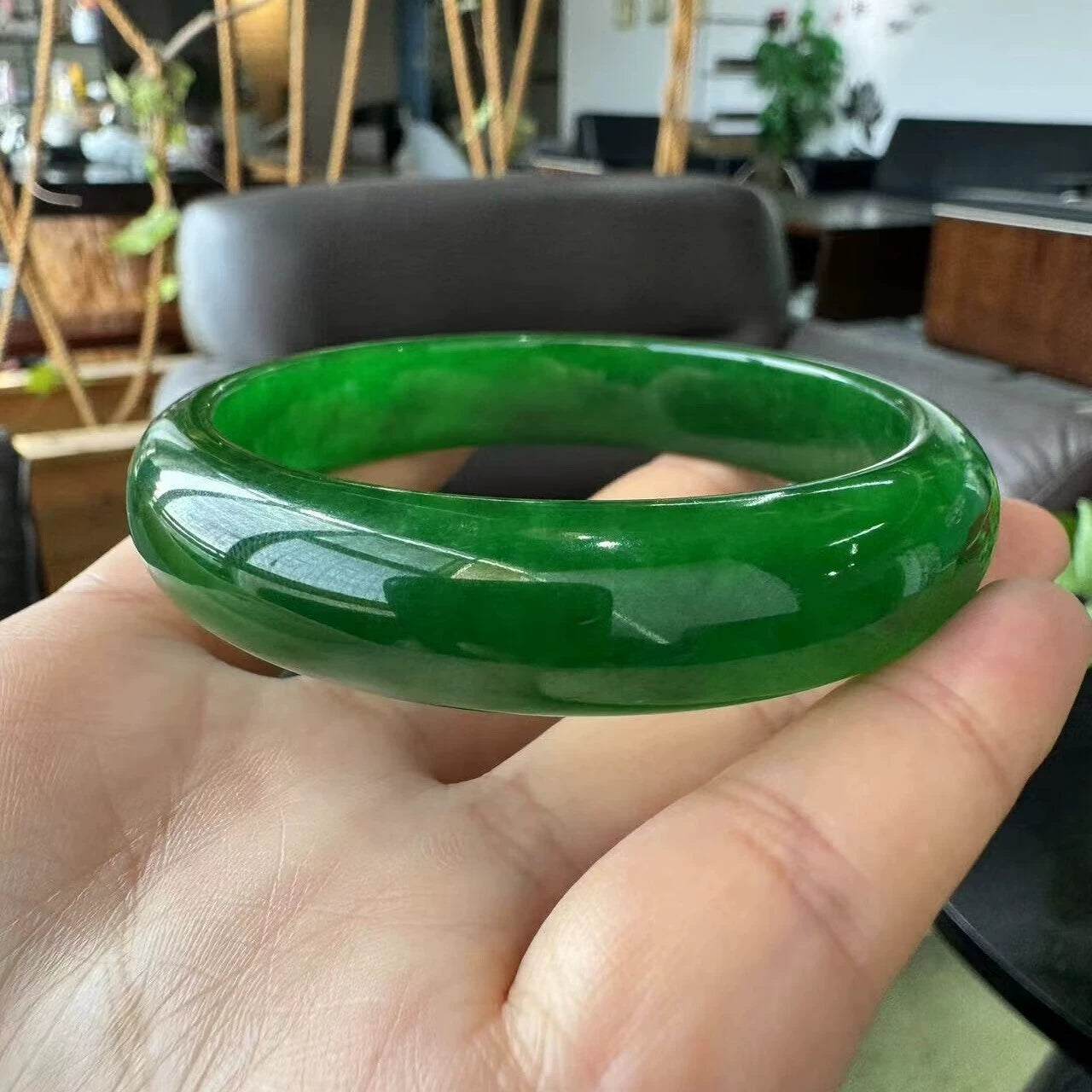 Hand holding natural vivid green jade bangle with indoor plants background