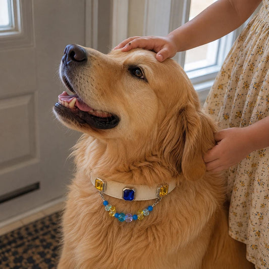 Golden retriever being petted while wearing multicolor gemstone pet collar|DIYJade