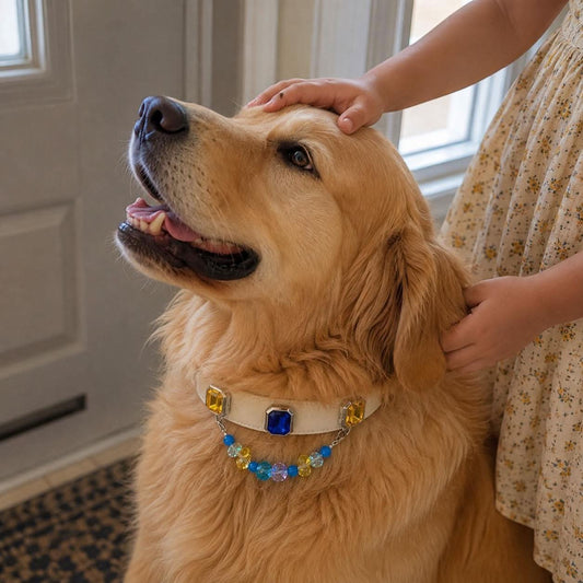 Golden retriever being petted while wearing multicolor gemstone pet collar|DIYJade