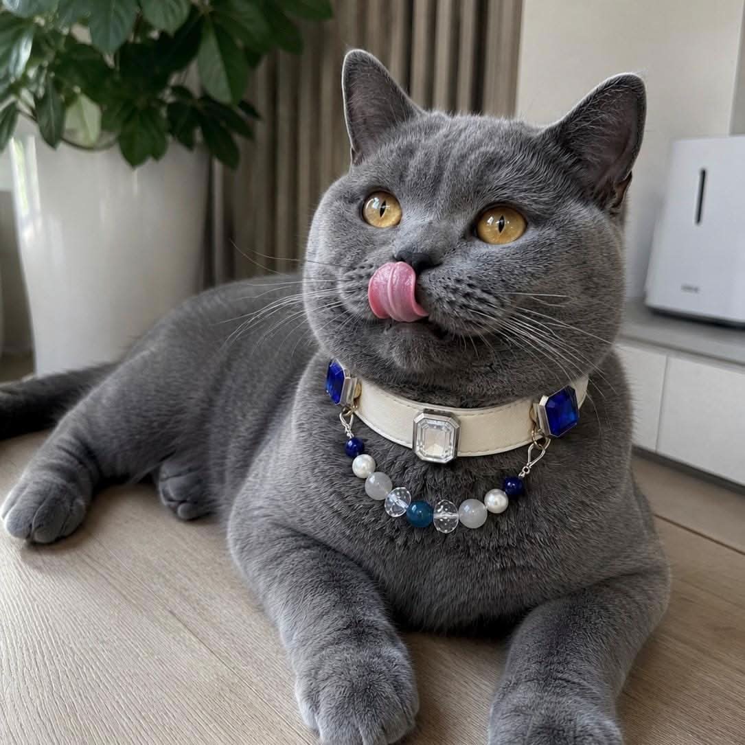 Cute grey cat licking lips wearing blue jade and crystal pet collar | DIY Jade