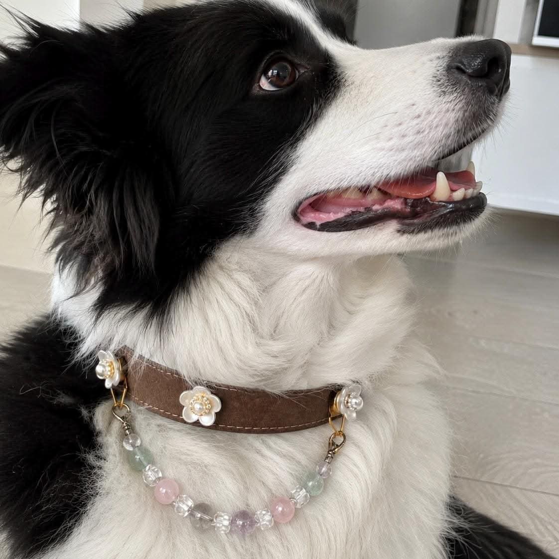 Black and white border collie wearing brown leather flower jade bead pet collar | DIY Jade
