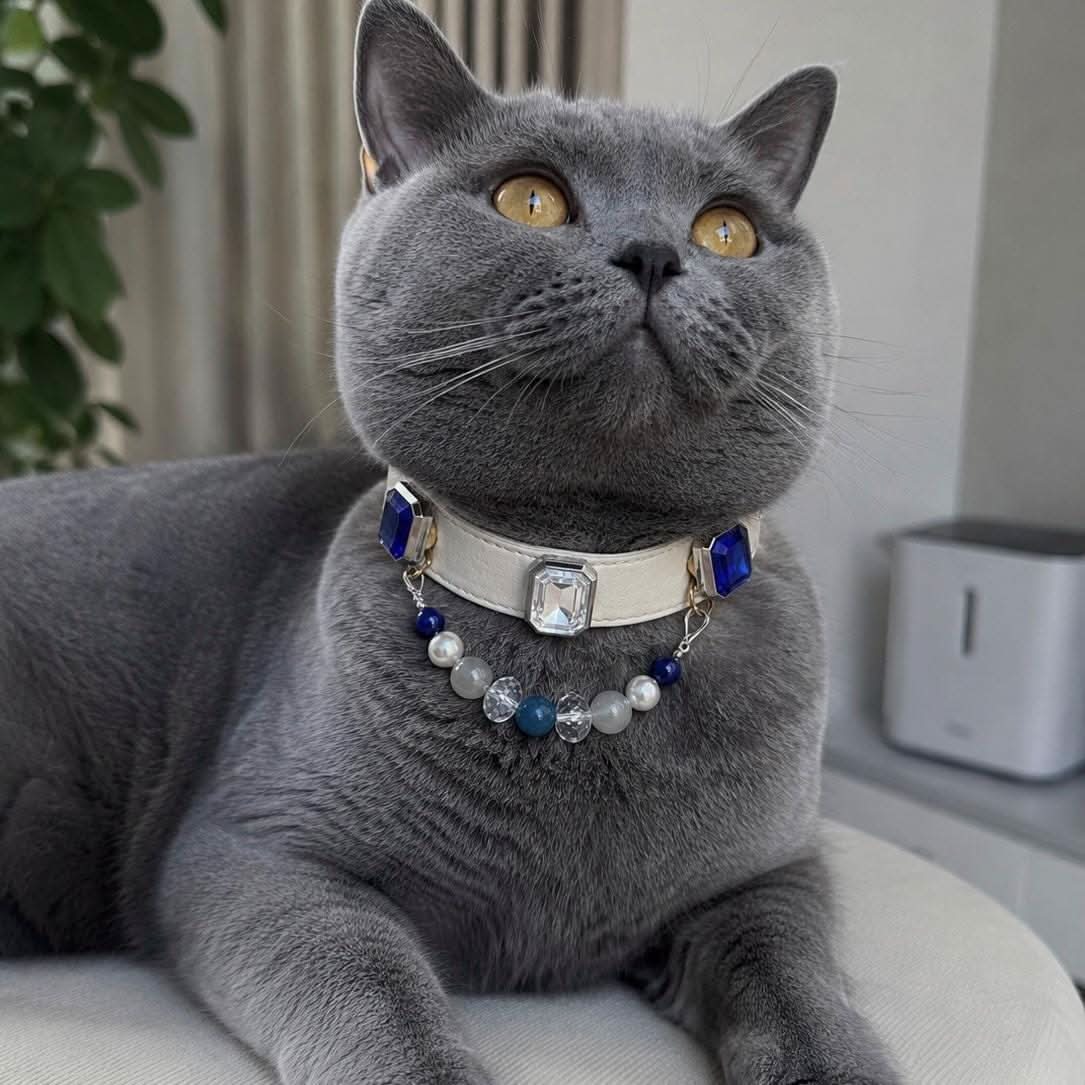 Grey British shorthair cat modeling cream leather blue gem pet collar | DIY Jade