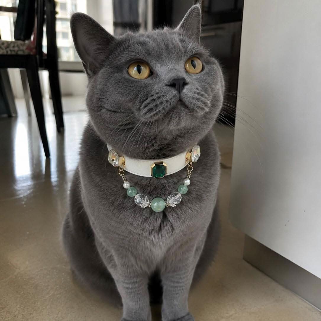 Grey British shorthair cat modeling emerald gemstone pet collar | DIY Jade