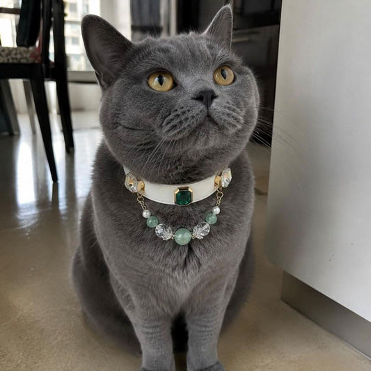 Grey British shorthair cat modeling emerald gemstone pet collar | DIY Jade