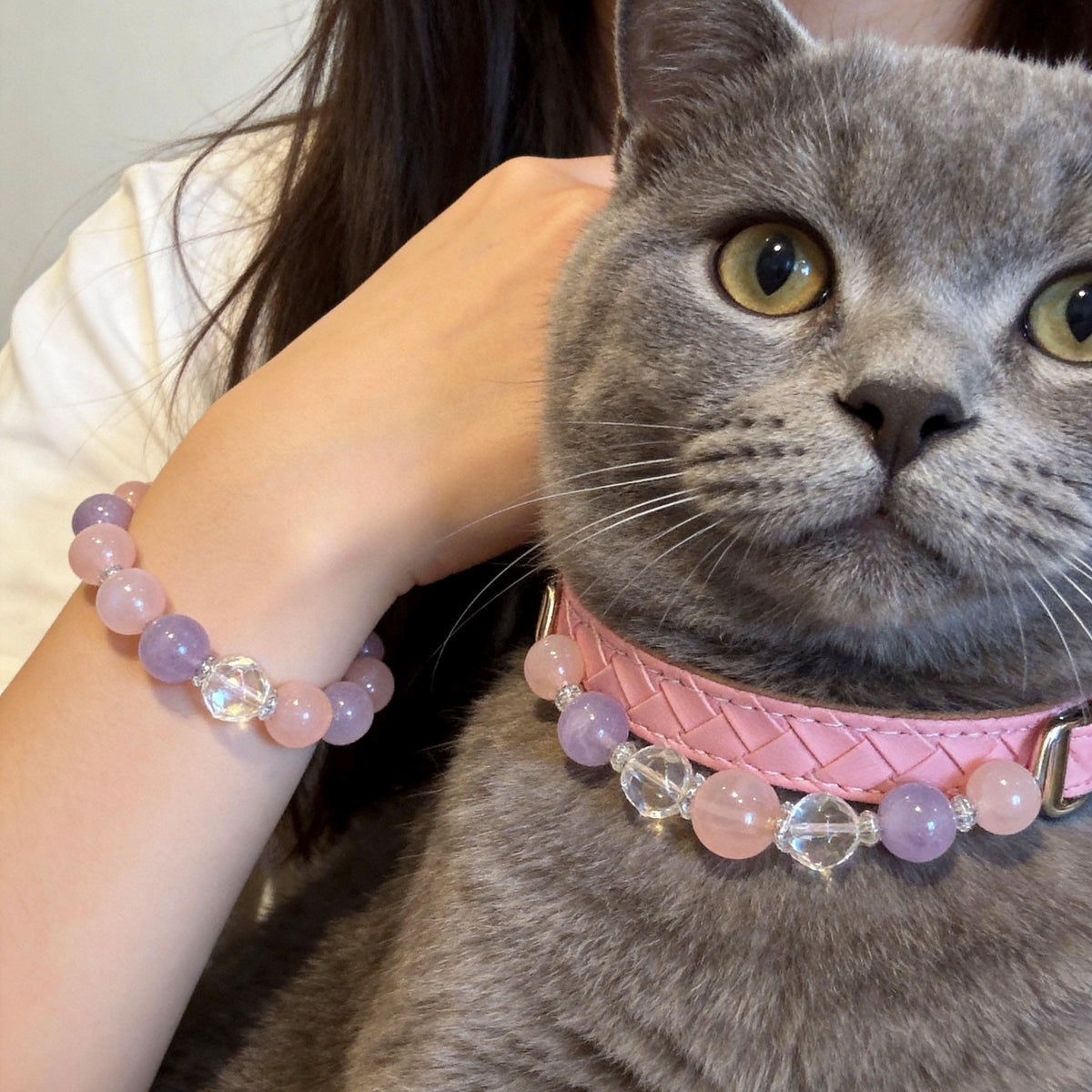 Grey british shorthair cat wearing pink pet collar with owner’s bracelet | DIY Jade