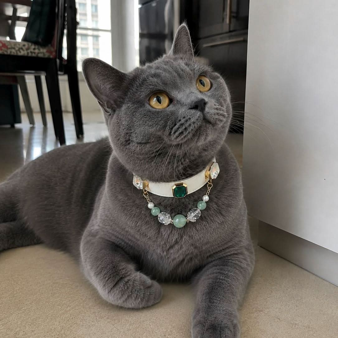 Calm grey cat lying indoors wearing luxury gem pet collar | DIY Jade