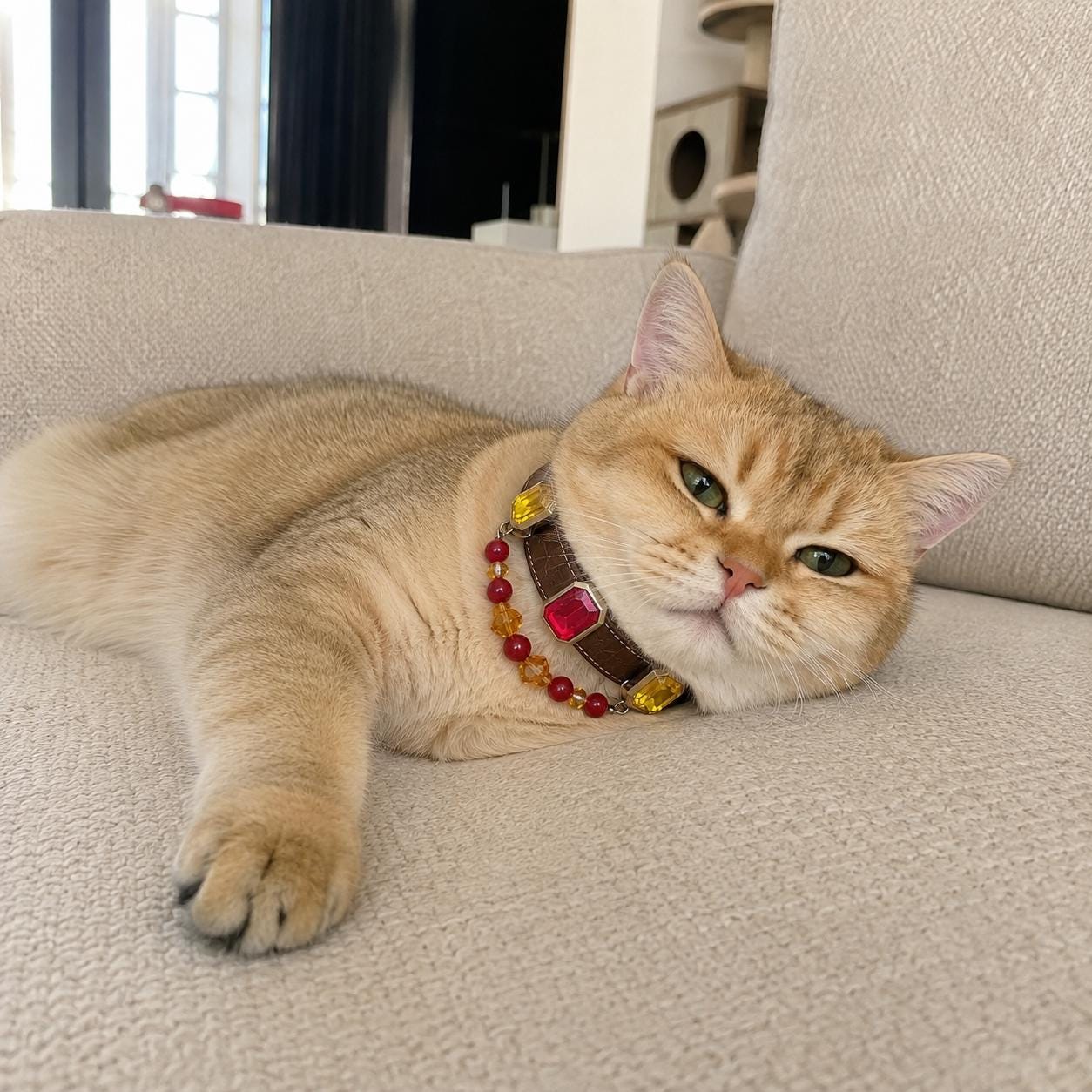 Cat lounging on a couch in an agate crystal pet collar|DIYJade