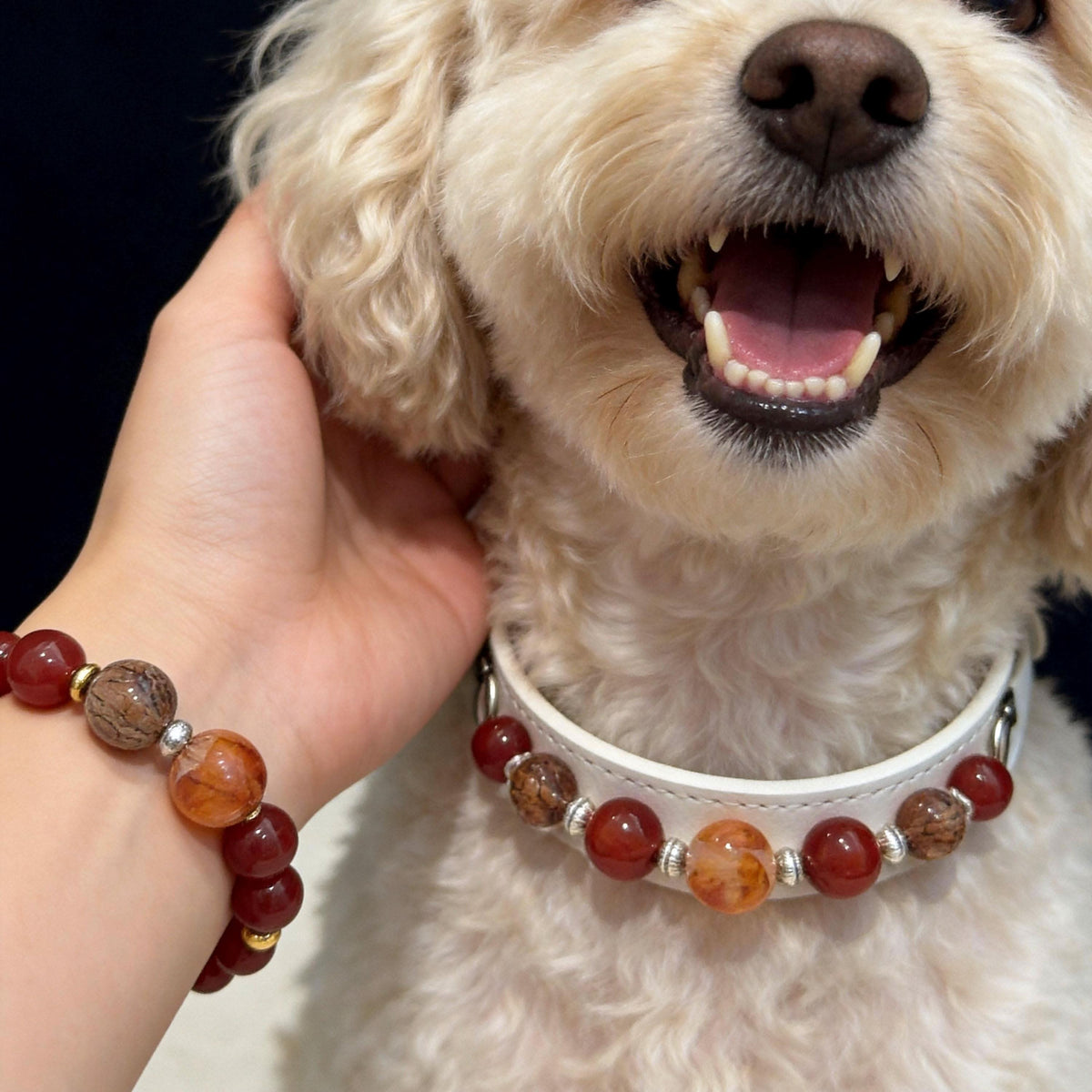 Happy poodle dog wearing agate collar paired with owner’s stone bracelet | DIY Jade