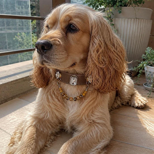 Cocker spaniel dog resting outdoors with crystal flower jade bead pet collar | DIY Jade