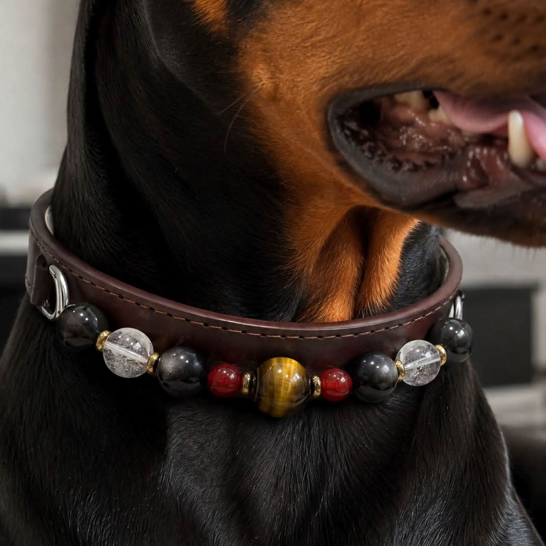Close‑up shot of doberman dog wearing dark leather multi‑color bead pet collar | DIY Jade