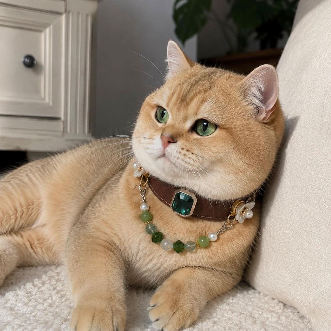 Ginger cat resting on sofa wearing brown leather jade gem collar | DIY Jade