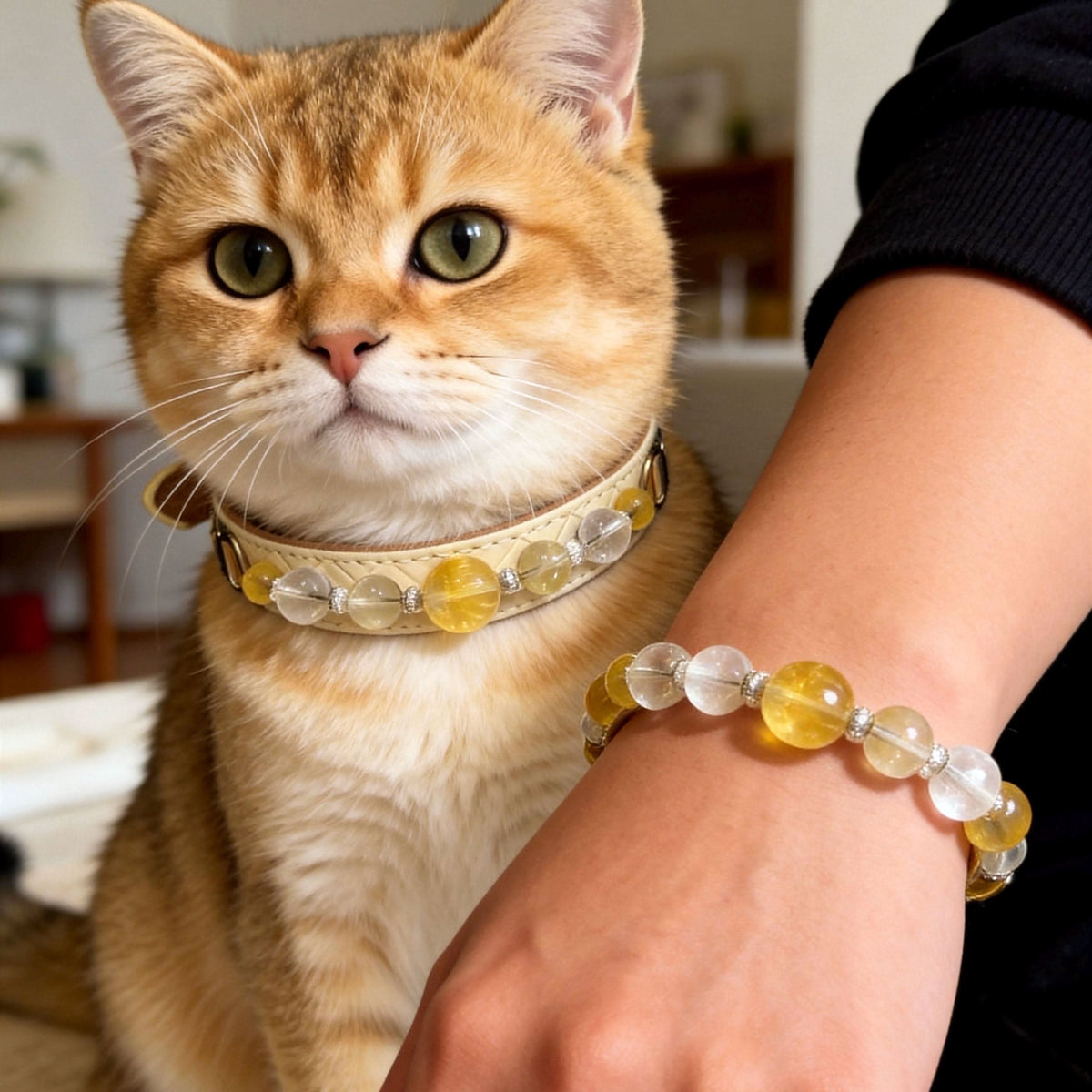 Golden tabby cat wearing a matching crystal pet collar with owner's wrist in matching yellow fluorite bracelet | DIYJade