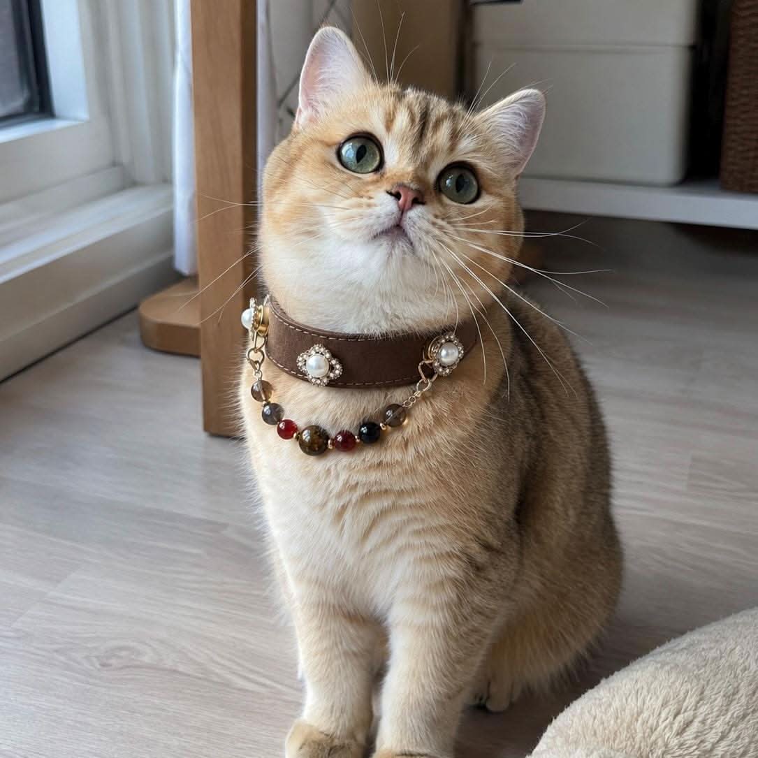 Cute golden cat posing indoors with vintage pearl and earth tone jade pet collar | DIY Jade