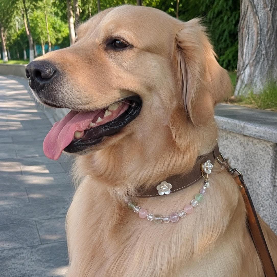 Happy golden retriever on sidewalk with handmade floral pastel jade bead pet collar | DIY Jade
