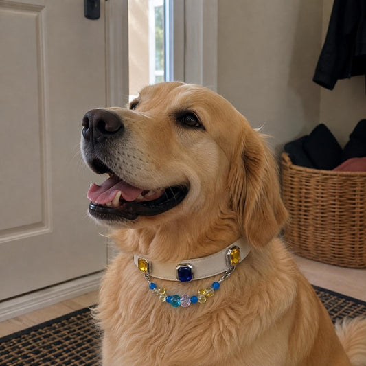 Golden retriever sitting and wearing multicolor crystal pet collar|DIYJade