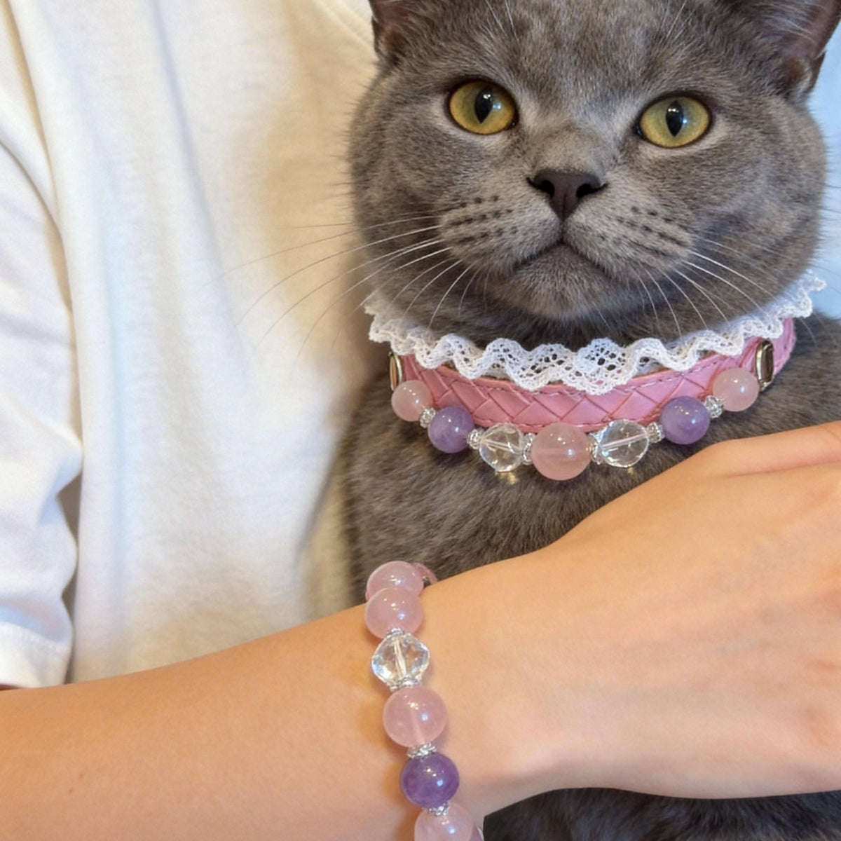 Grey cat modeling pastel pink‑purple bead pet collar home portrait | DIY Jade