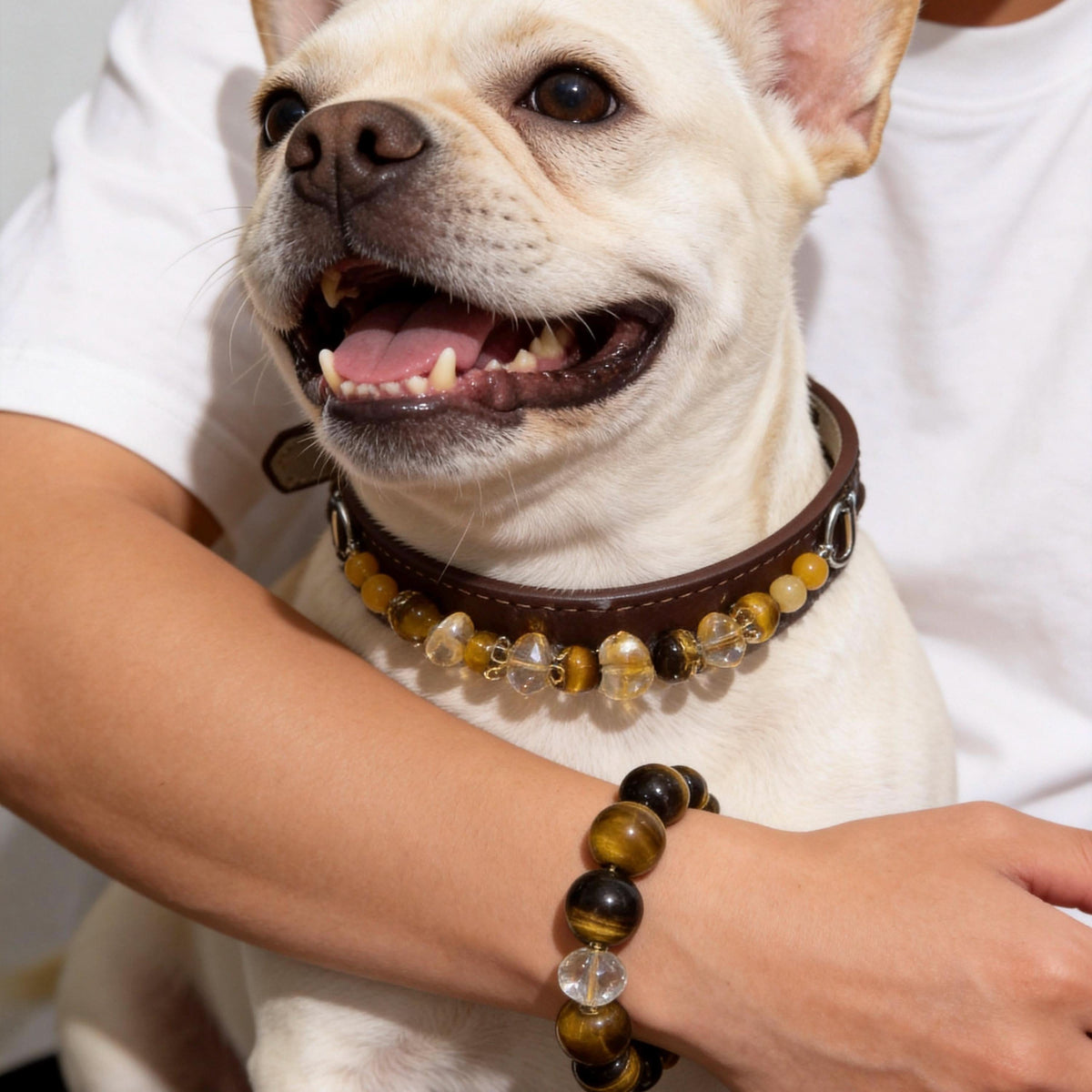 Smiling french bulldog model with matching tiger‑eye pet‑owner jewelry set | DIY Jade