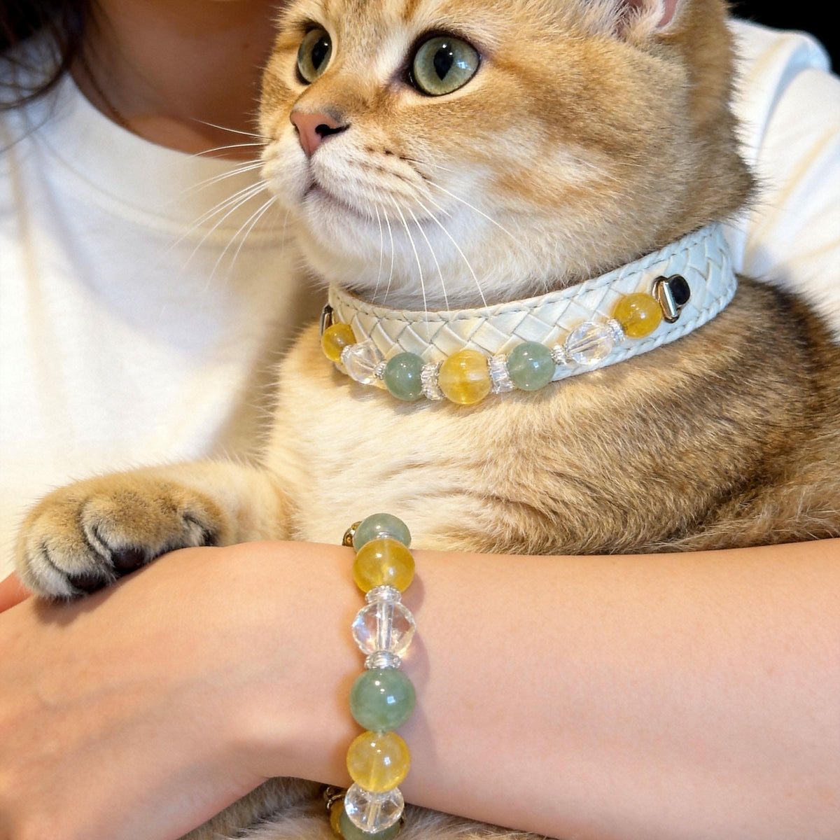 Tabby cat wearing cream lace yellow bead collar with matching human bracelet | DIY Jade