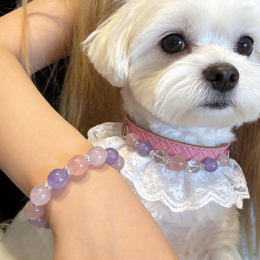 Maltese dog with pink purple pet collar beside owner’s matching bead bracelet | DIY Jade
