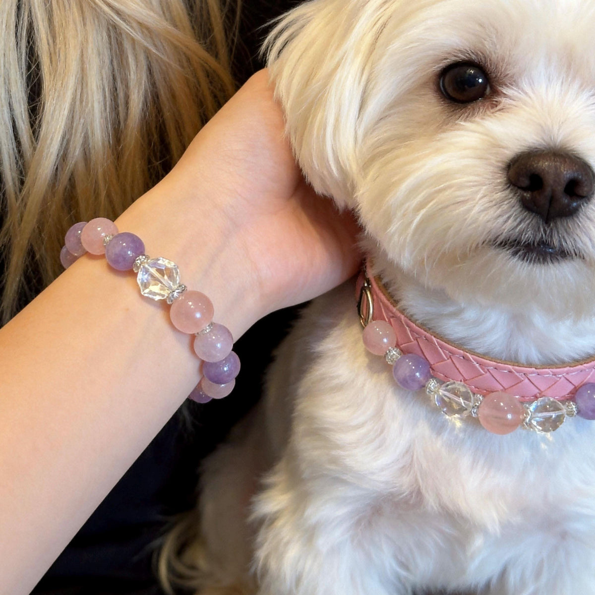 Small maltese dog and owner wrist showing matching jewelry pair | DIY Jade