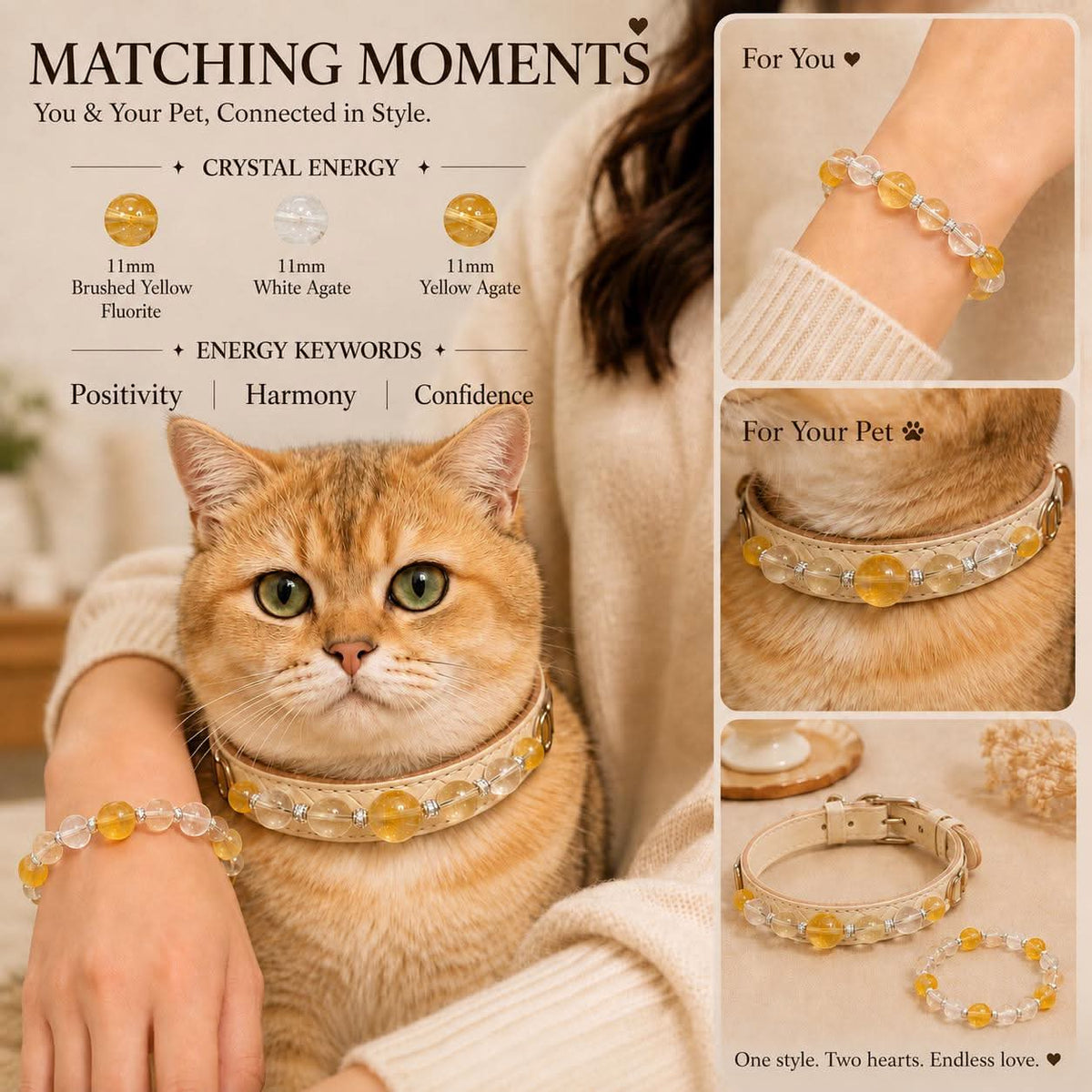 Matching moments owner and pet crystal set product infographic card showing bracelet and pet collar details | DIYJade