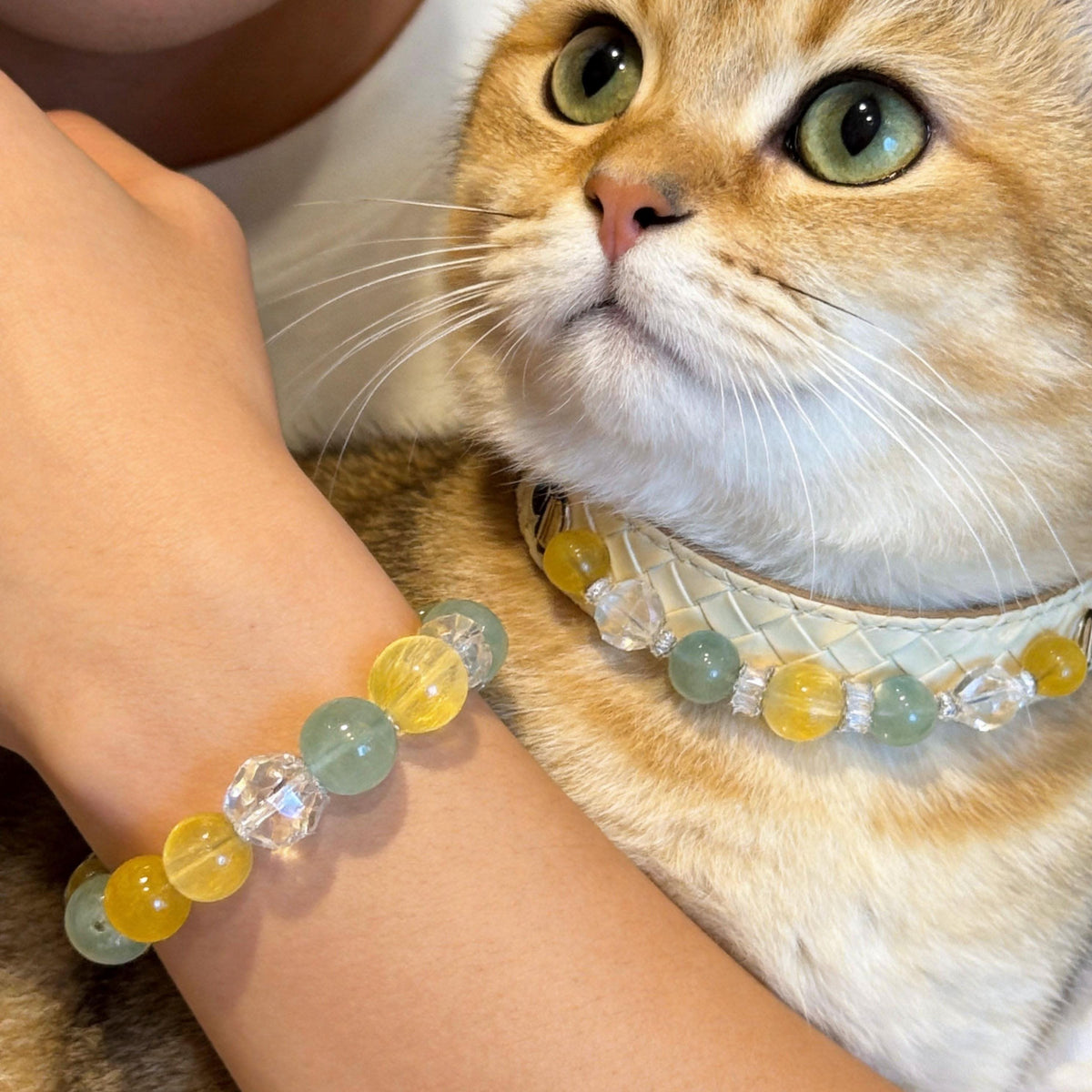 Matching yellow bead cat collar and owner bracelet worn together closeup | DIY Jade