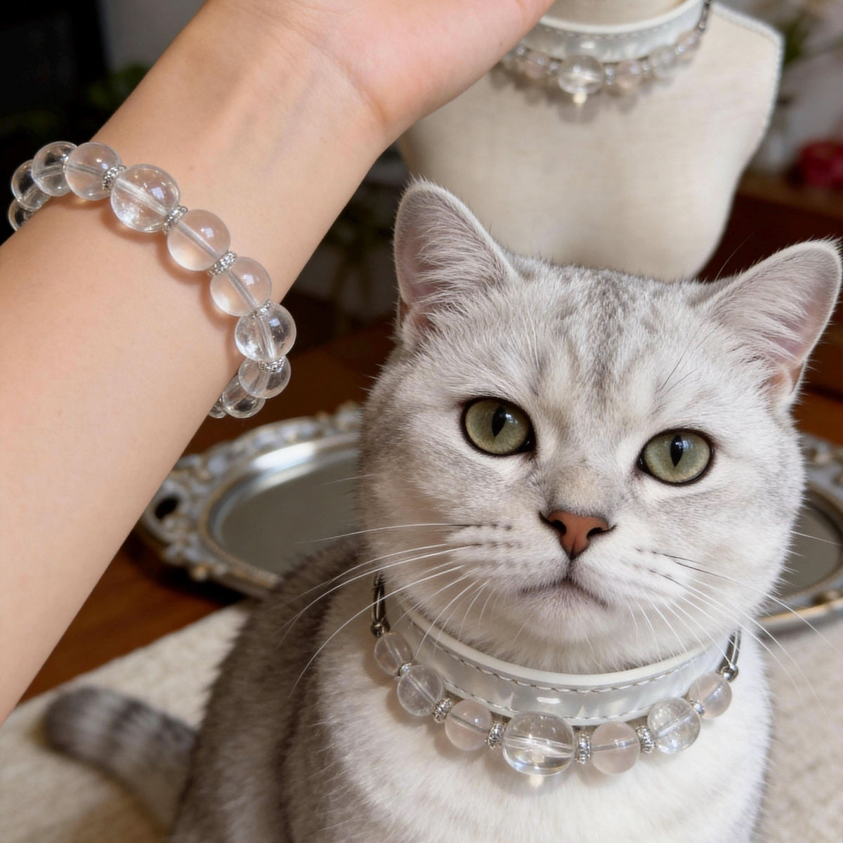 Matching clear bead pet collar and human bracelet with silver cat model | DIY Jade