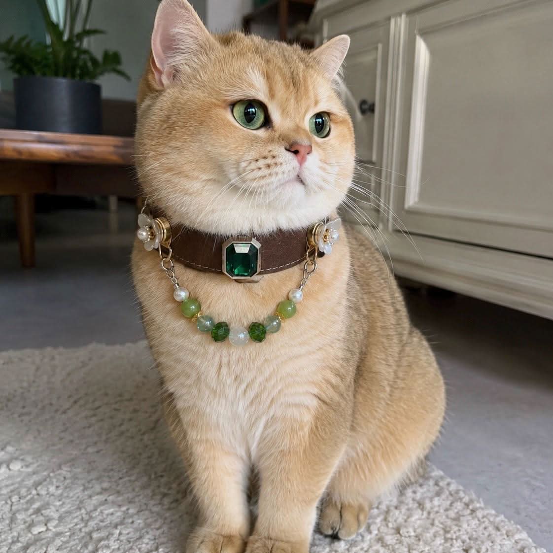 Chubby orange cat posing with emerald gem and jade bead pet collar | DIY Jade