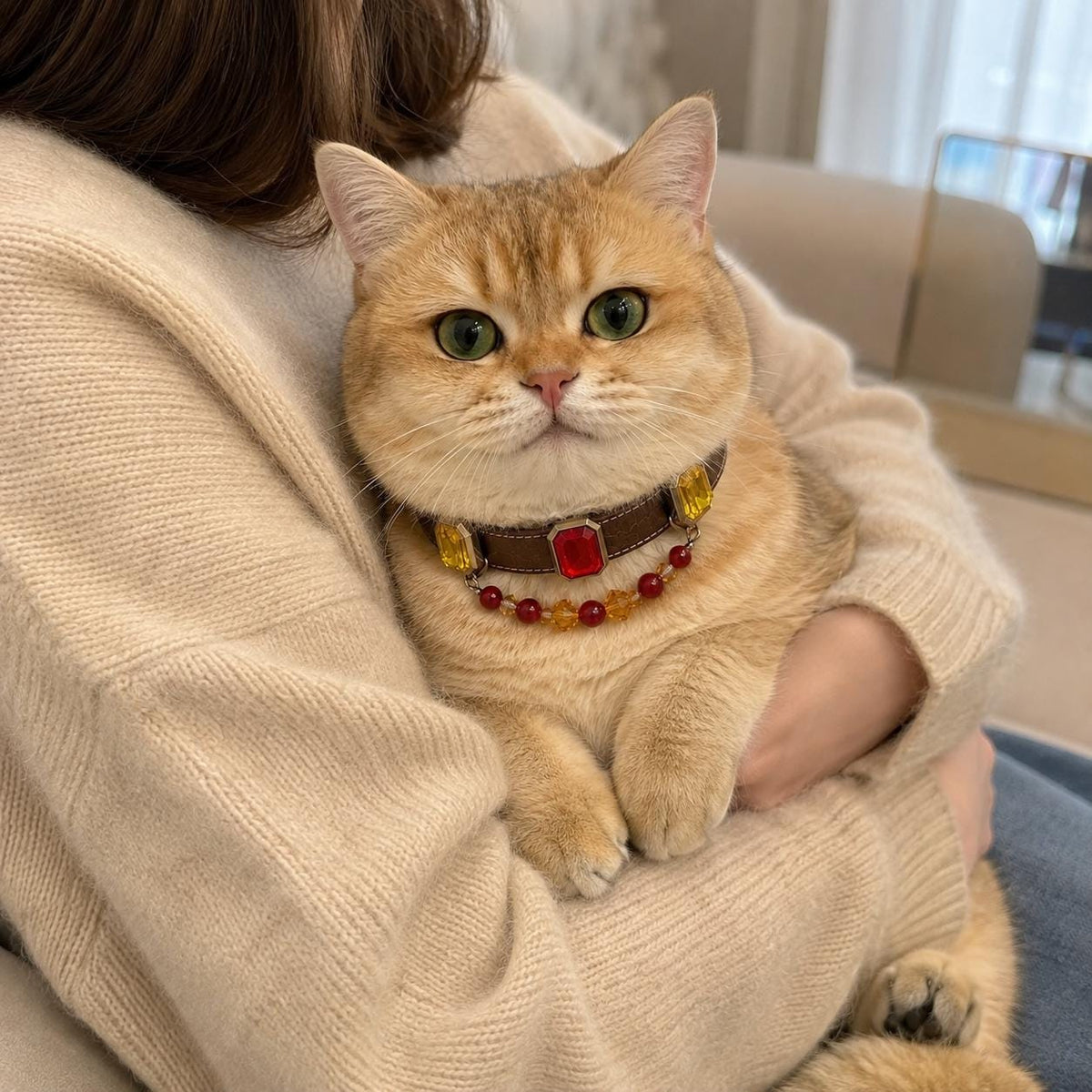  Orange cat being held while wearing a jeweled pet collar|DIYJade