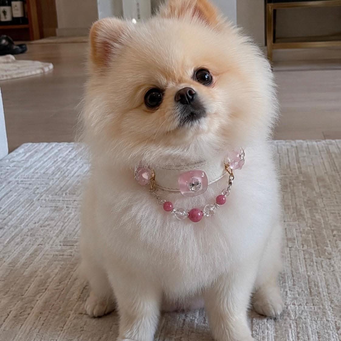 Fluffy cream Pomeranian puppy modeling heart gem pink jade pet collar | DIY Jade