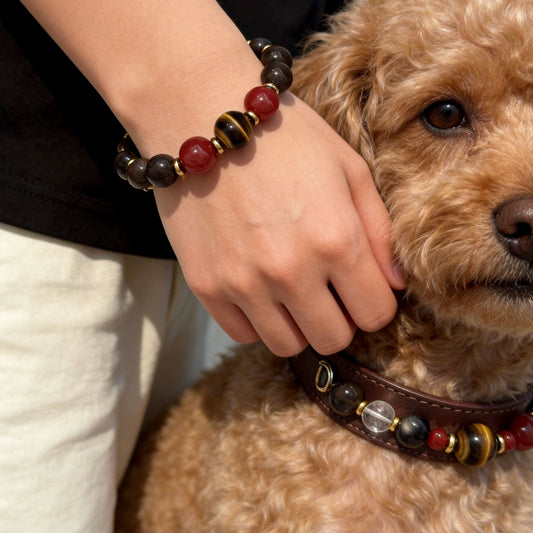 Brown poodle dog with dark leather pet collar and owner’s red‑brown bead bracelet | DIY Jade