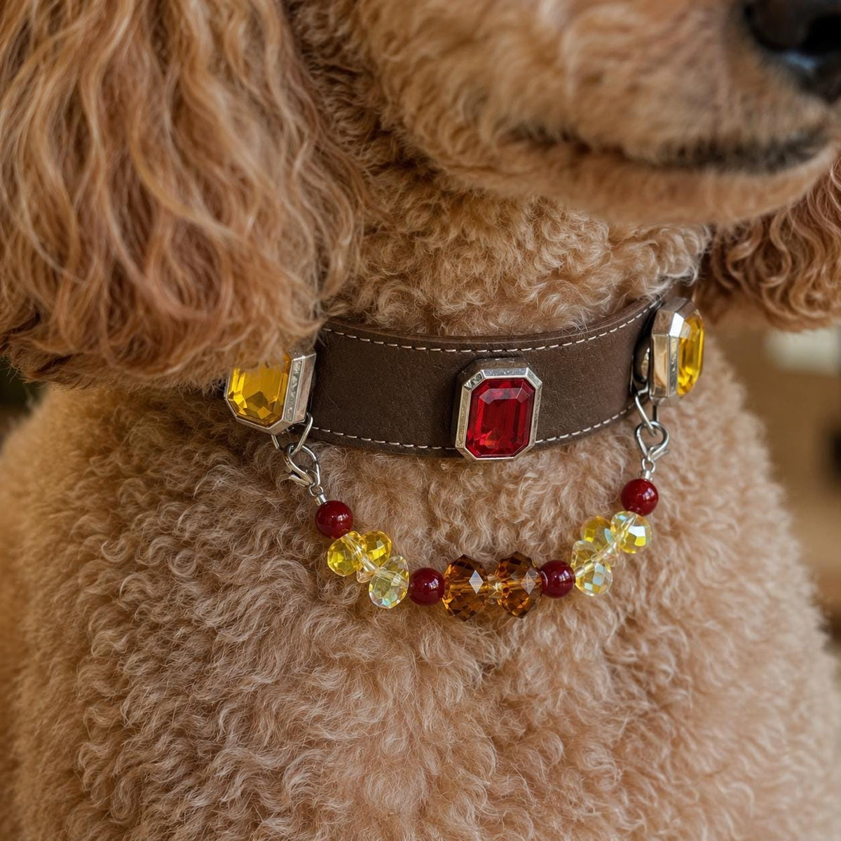  Close-up of a poodle's neck with a crystal drop pet collar|DIYJade