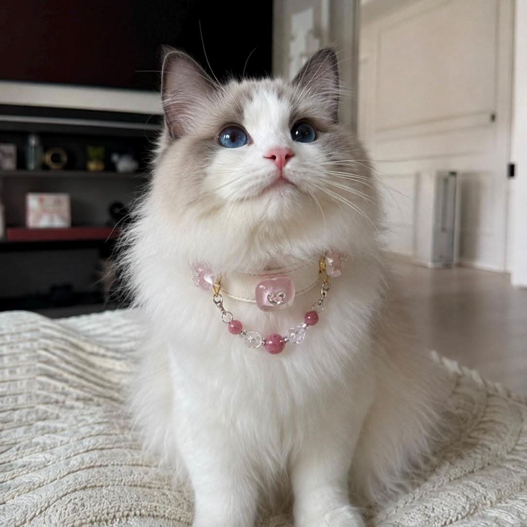 Blue-eyed Ragdoll cat wearing handmade pink heart jade pet collar | DIY Jade