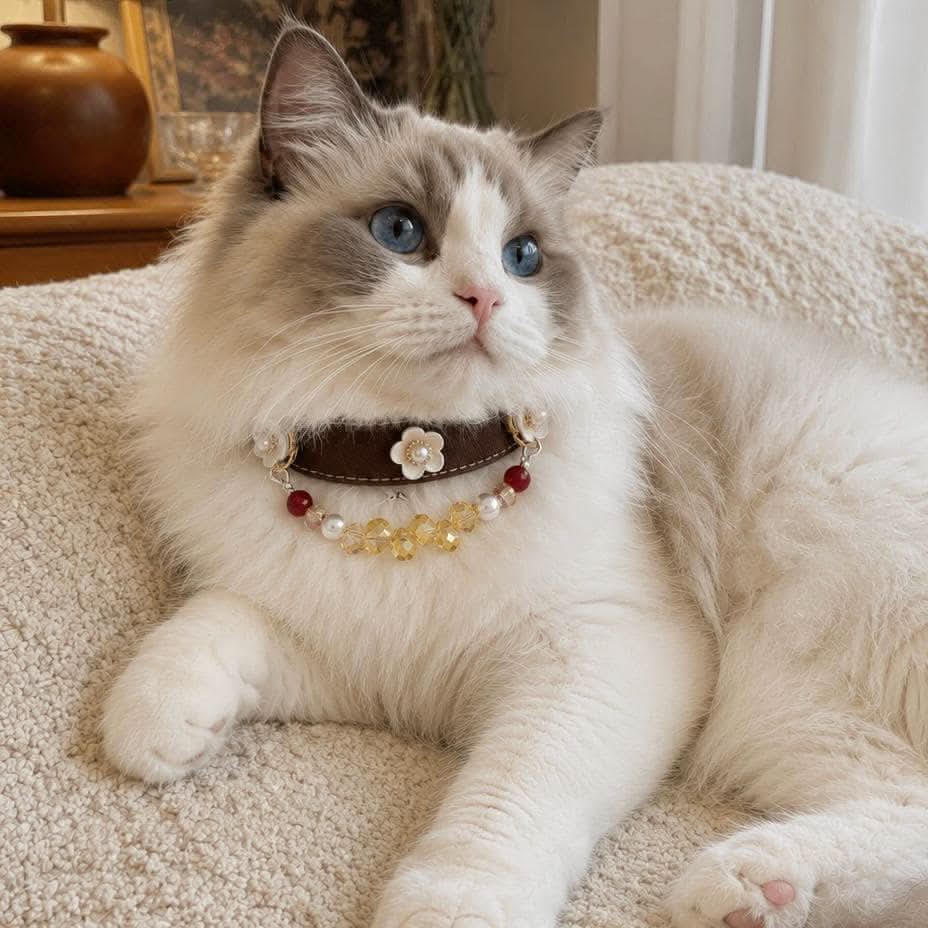 Ragdoll cat resting on soft sofa wearing brown floral pearl bead pet collar | DIY Jade