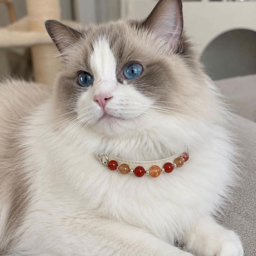Ragdoll cat modeling delicate red‑orange agate bead pet collar | DIY Jade