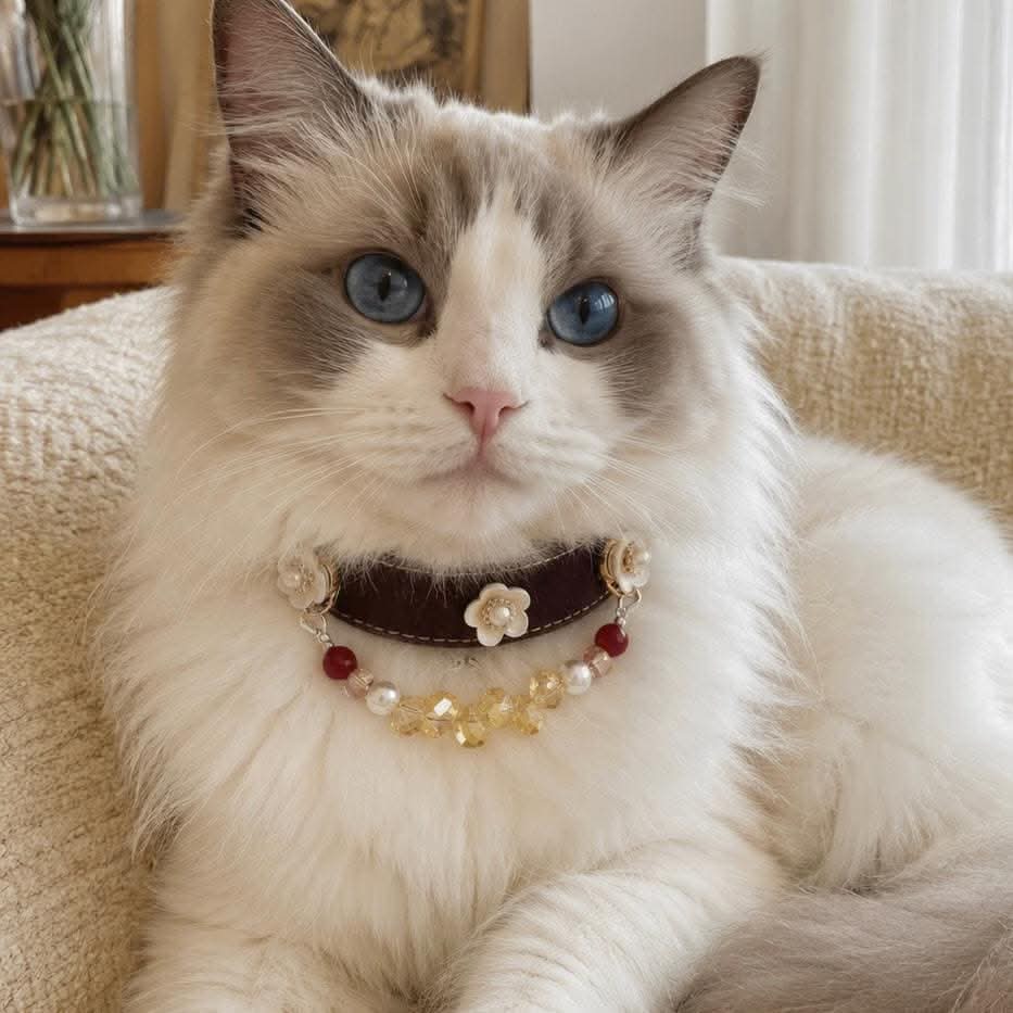 Blue-eyed Ragdoll cat portrait with brown leather flower and crystal bead pet collar | DIY Jade