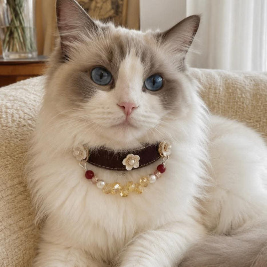 Blue-eyed Ragdoll cat portrait with brown leather flower and crystal bead pet collar | DIY Jade