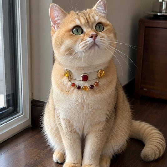 Vintage red gemstone and amber bead cat collar worn by a golden British Shorthair cat | DIYJade