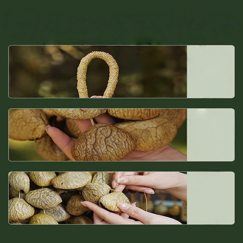 Collage of seed bracelet material details | DIY Jade