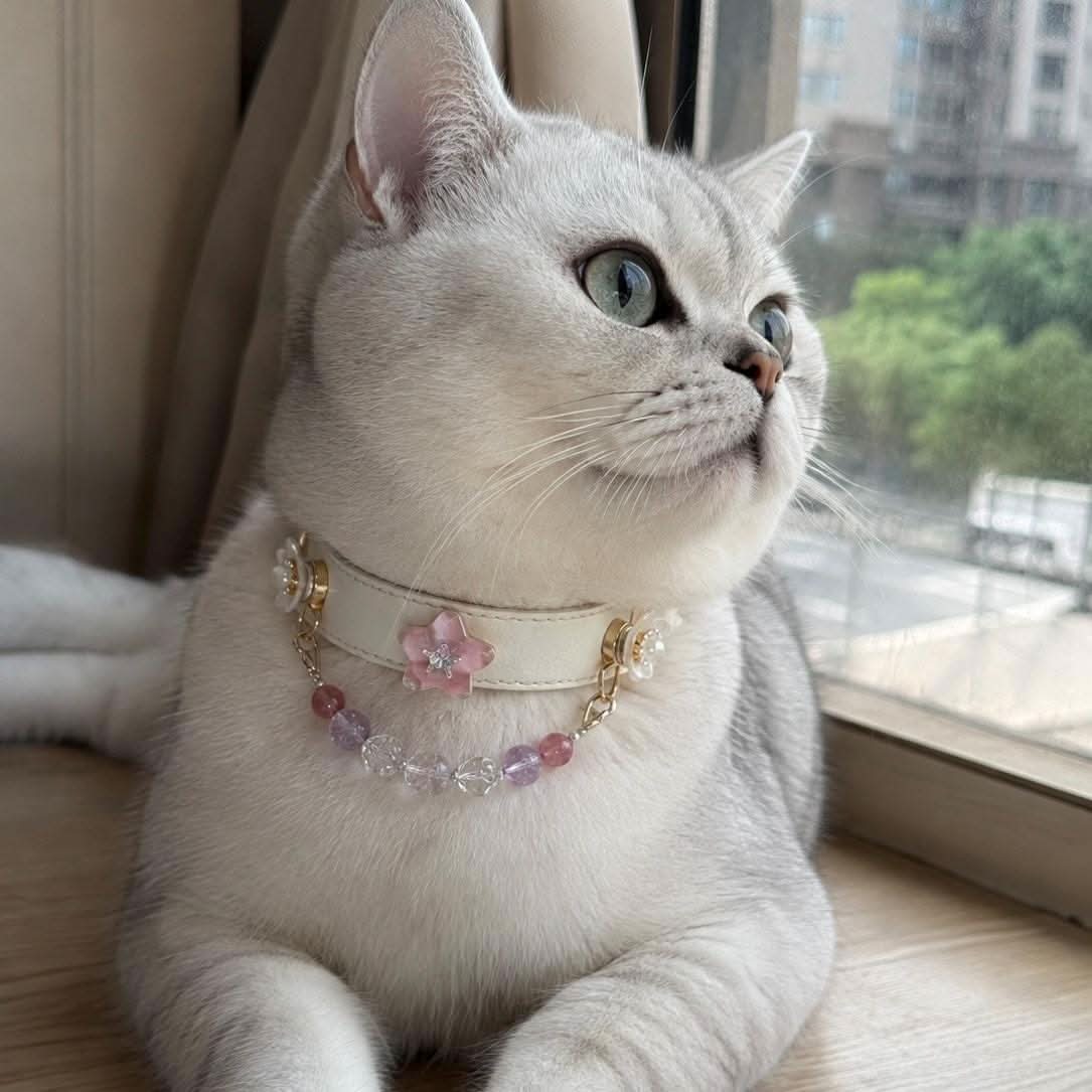 Silver British cat modeling pink star jade bead pet collar near window | DIY Jade