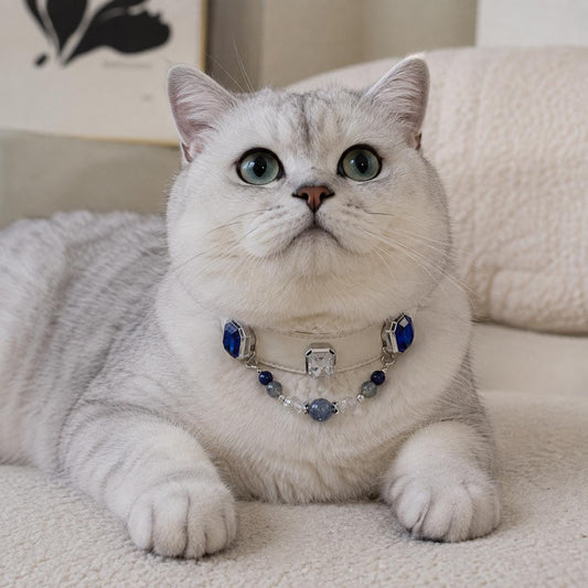 Silver tabby cat on couch wearing blue crystal pet collar — front view|DIYJade