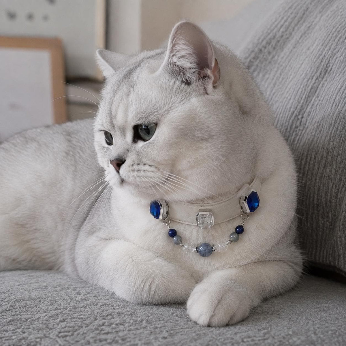 Silver cat lying down wearing blue white crystal pet collar — side view|DIYJade