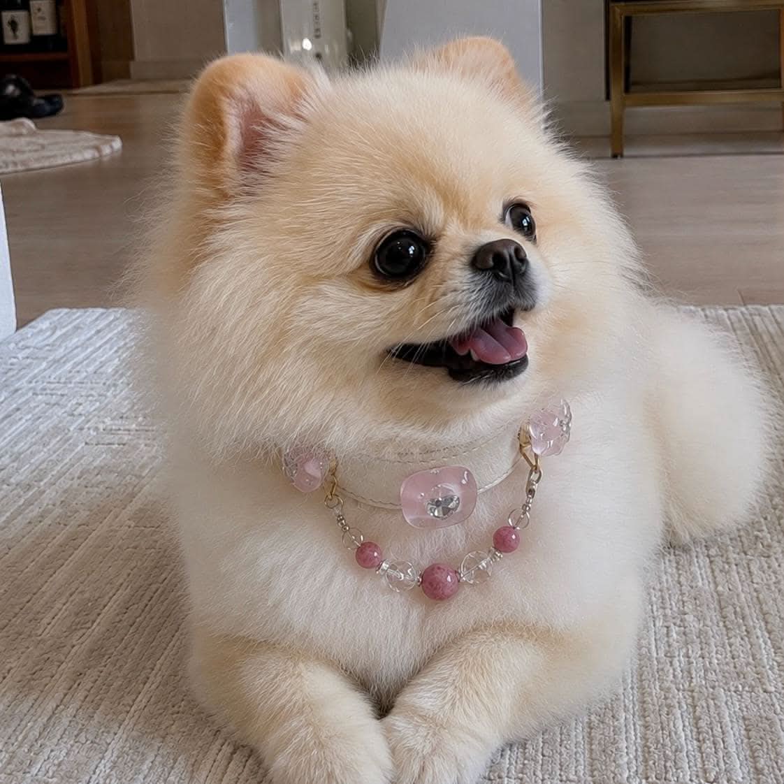 Happy Pomeranian dog indoor portrait wearing pink heart jade bead collar | DIY Jade