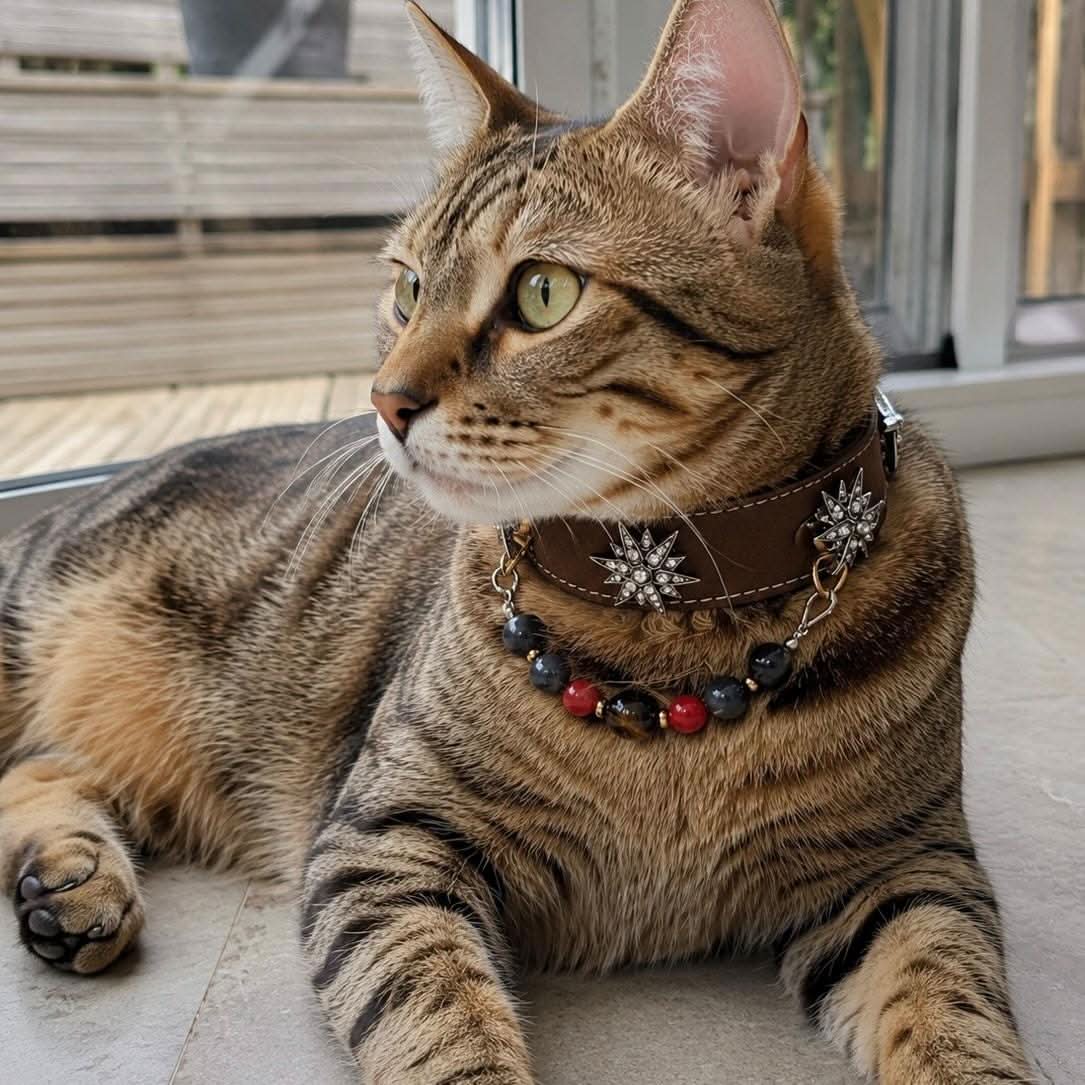 Tabby cat lying indoors wearing brown leather star crystal jade bead pet collar | DIY Jade