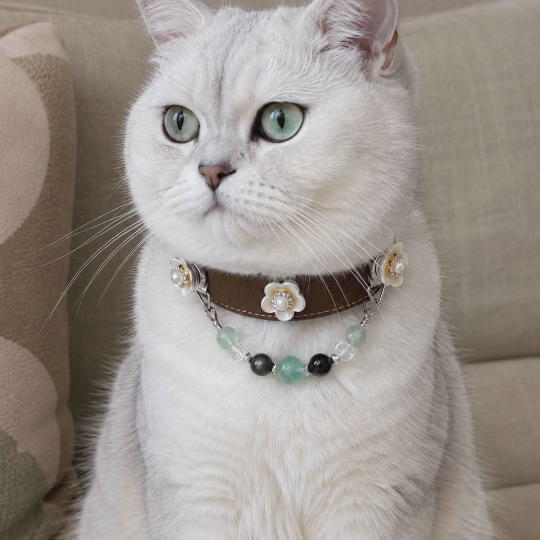 White British Shorthair cat wearing a pearl flower brown leather pet collar, sitting upright | DIYJade