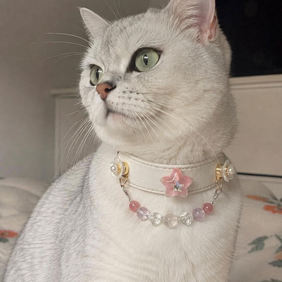 White shorthair cat indoor portrait wearing cute star jade pet collar | DIY Jade