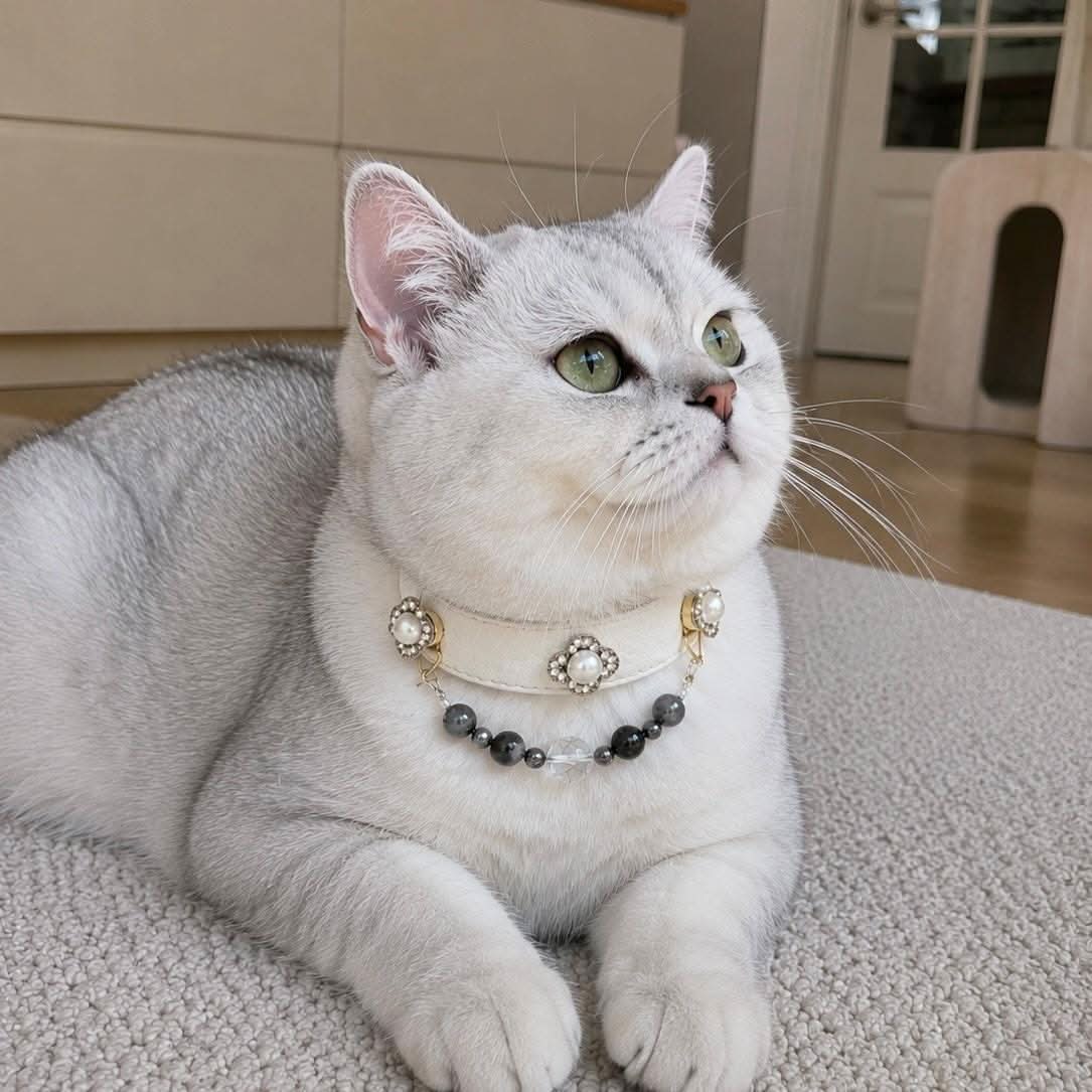 White shorthair cat lying on sofa wearing luxury ivory leather pearl jade pet collar | DIY Jade