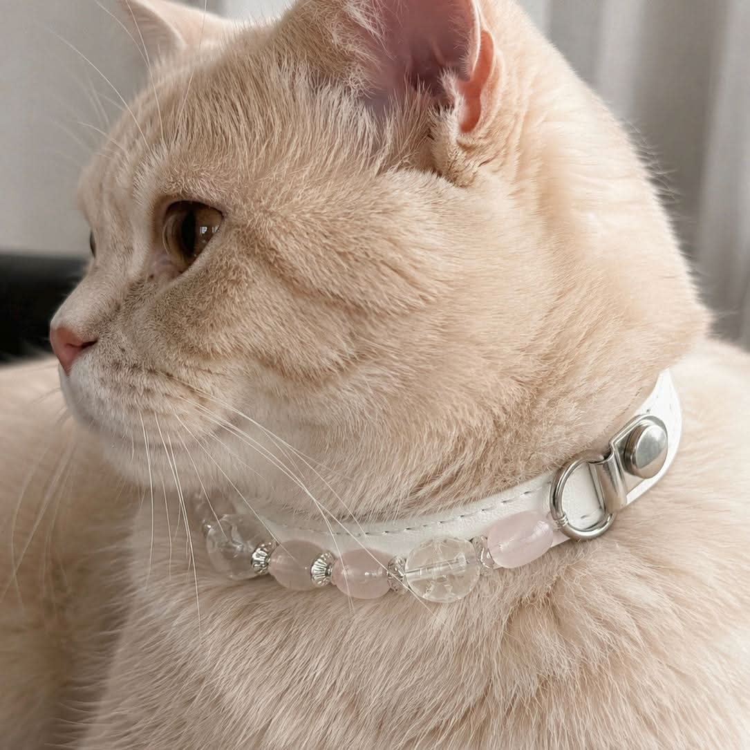 Cat profile photo wearing handmade white leather pale green bead collar | DIY Jade
